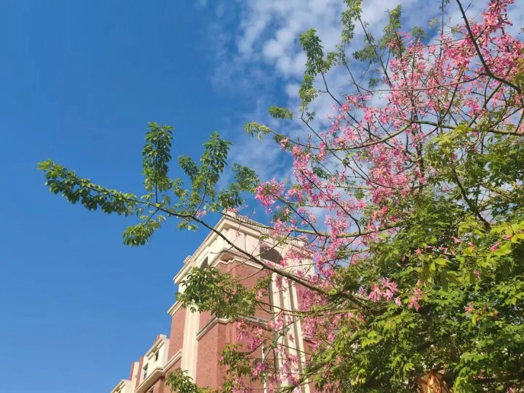 微信图片_2026-01-13_210742_181.jpg 微信图片_2026-01-13_210742_181.jpg