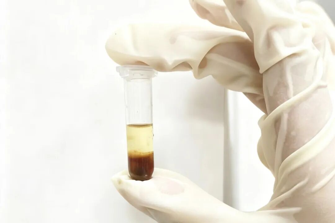 640 (17).jpg 640 (17).jpg