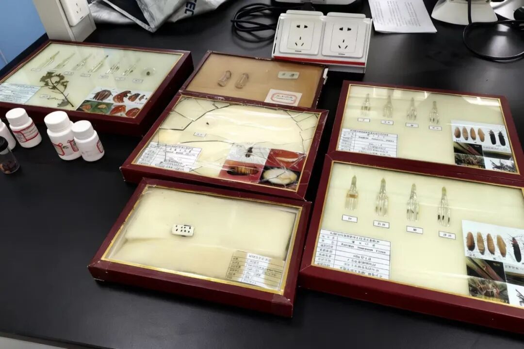 640 (10).jpg 640 (10).jpg