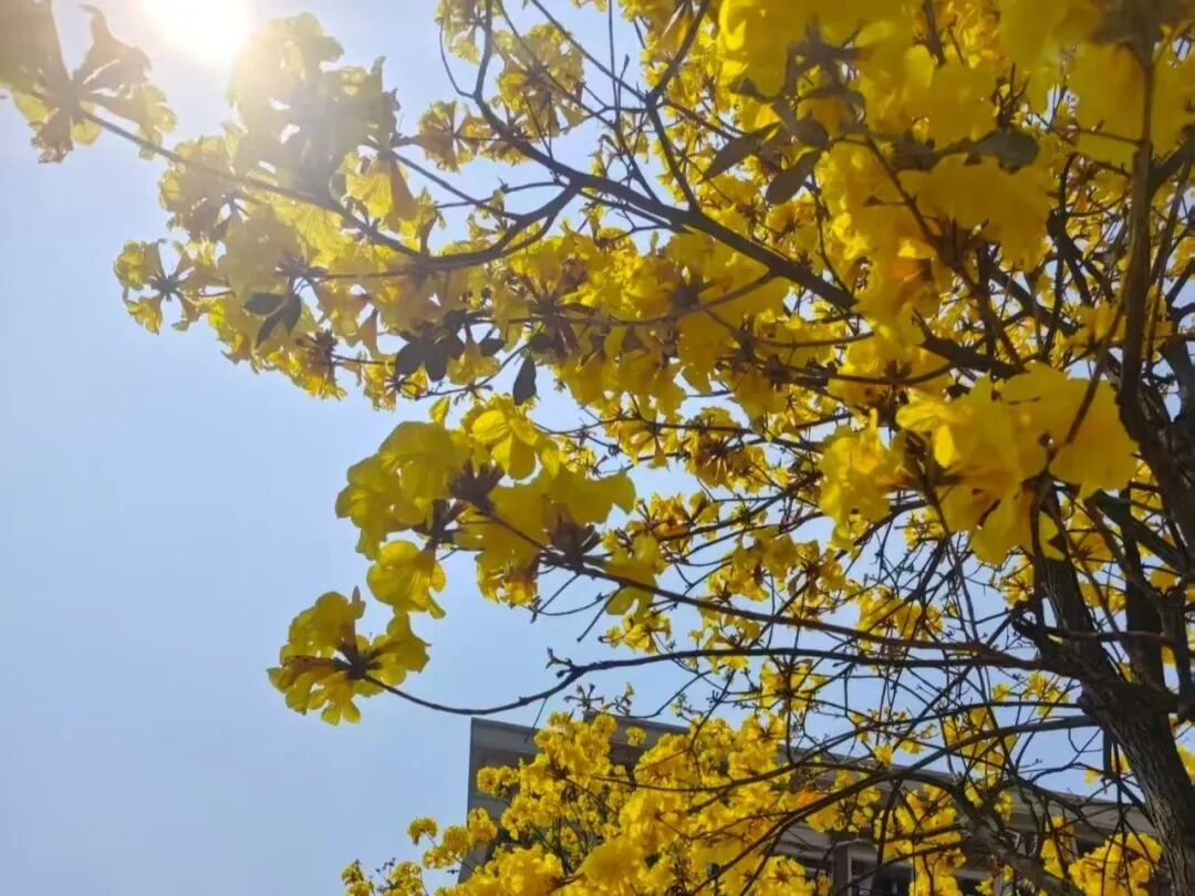 微信图片_2026-01-13_210735_867.jpg 微信图片_2026-01-13_210735_867.jpg