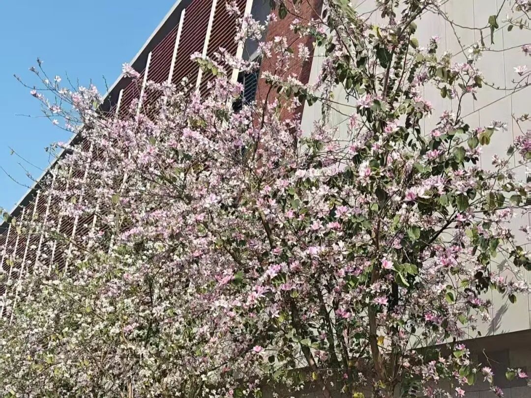 微信图片_2026-01-13_210748_203.jpg 微信图片_2026-01-13_210748_203.jpg