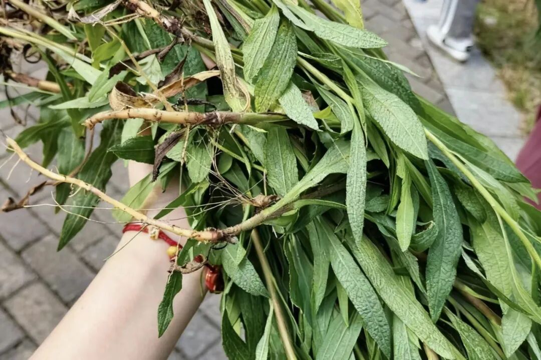 640 (12).jpg 640 (12).jpg