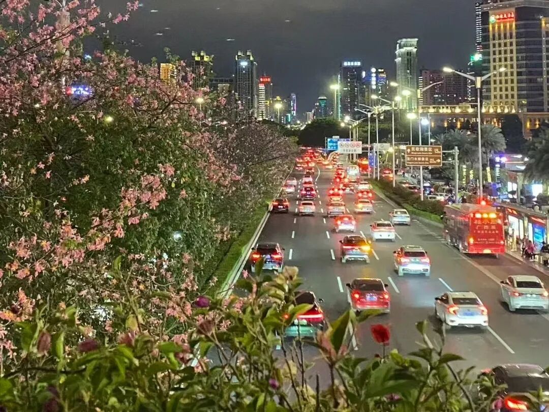 微信图片_2026-01-13_211049_787.jpg 微信图片_2026-01-13_211049_787.jpg