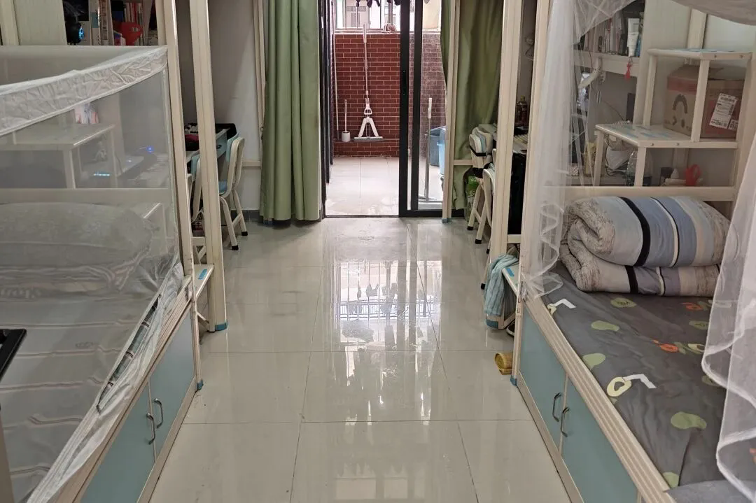 11.webp.png 11.webp.png