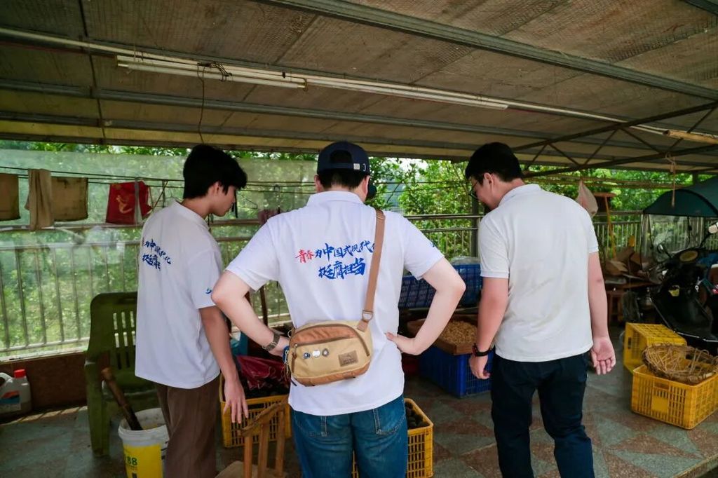 FmAOU5MRnMA8vRDuQ76zeVm8sK6-_field_6_1768358536.jpg FmAOU5MRnMA8vRDuQ76zeVm8sK6-_field_6_1768358536.jpg