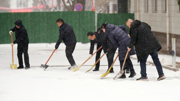 师生齐心除冰雪，劳动教育润无声——我院开展清雪除冰集体实践活动