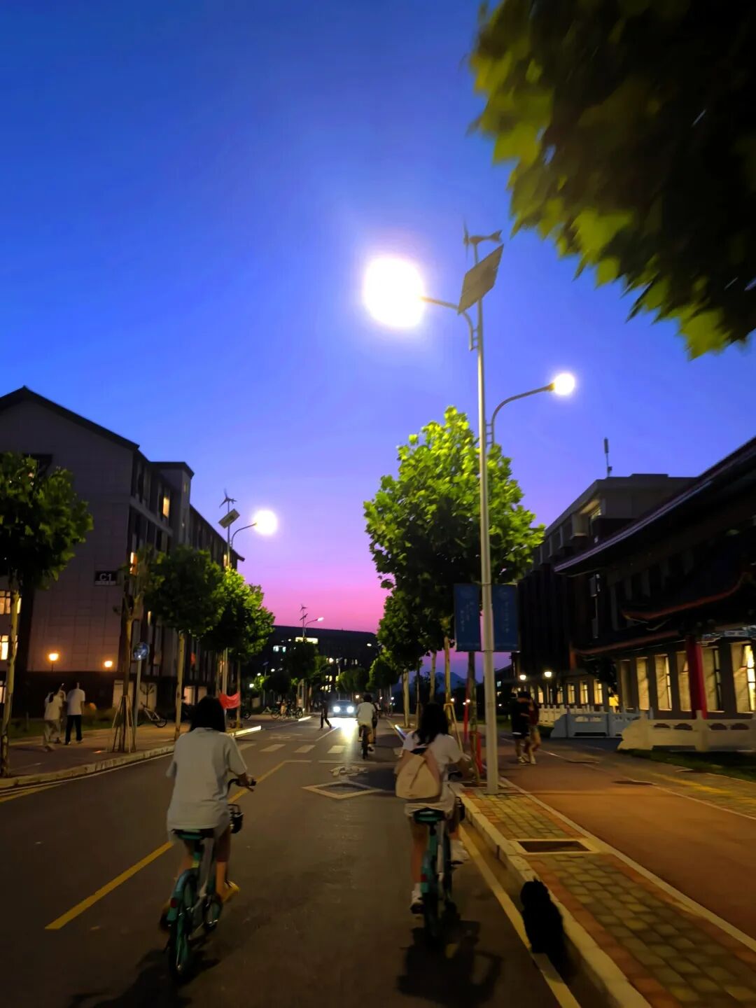 《蓝粉天际下的青春轨迹》  陈亚勤  运动与健康学院