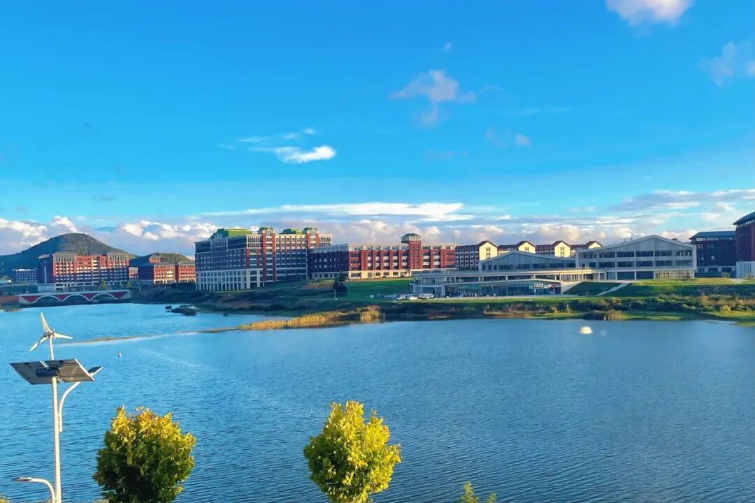 《湖天一色》 张芬利  临床医学院