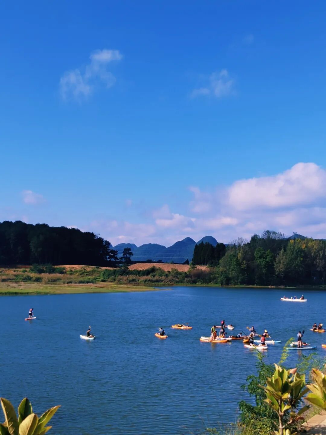 《争流》 万庆萍  药学院