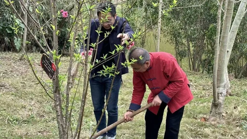 FgQlktPdXNBxkWMmFl2R-07P_UIP_field_6_1767447418.jpg FgQlktPdXNBxkWMmFl2R-07P_UIP_field_6_1767447418.jpg