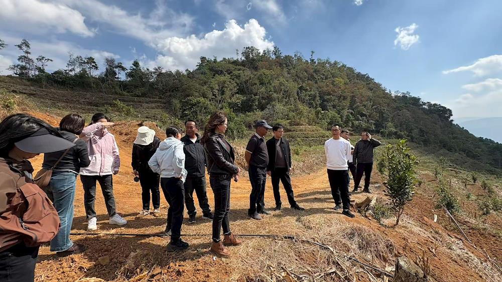 55e01e216e554e42bdc5b6baedae0e14.jpg 55e01e216e554e42bdc5b6baedae0e14.jpg