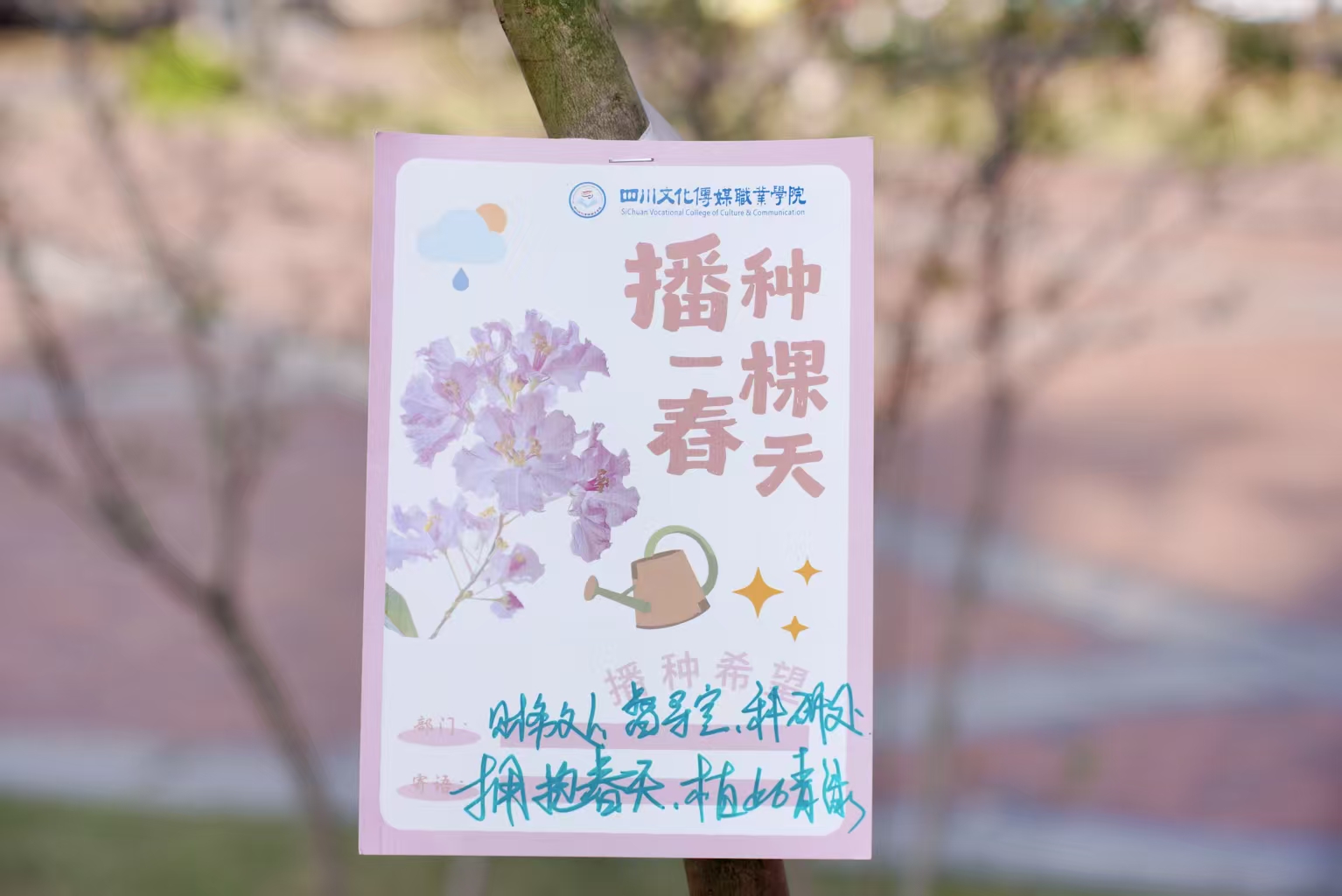 财务 督导 科研.jpg