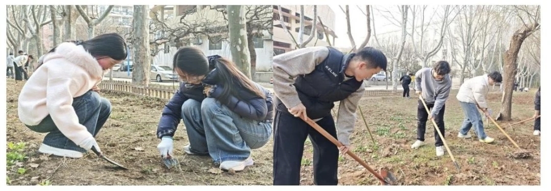 mmexport1773464782627.jpg mmexport1773464782627.jpg