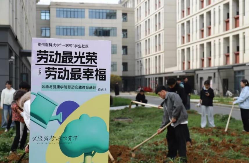 活动现场，师生们携手协作、干劲十足。大家手持工具，仔细捡拾碎石砖块、认真清除杂草垃圾，将板结的土地细细翻松，按照花卉品种科学控制密度，均匀撒下花种，每一个动作都饱含着对校园的热爱，每一片土地都承载着绿色的希望。