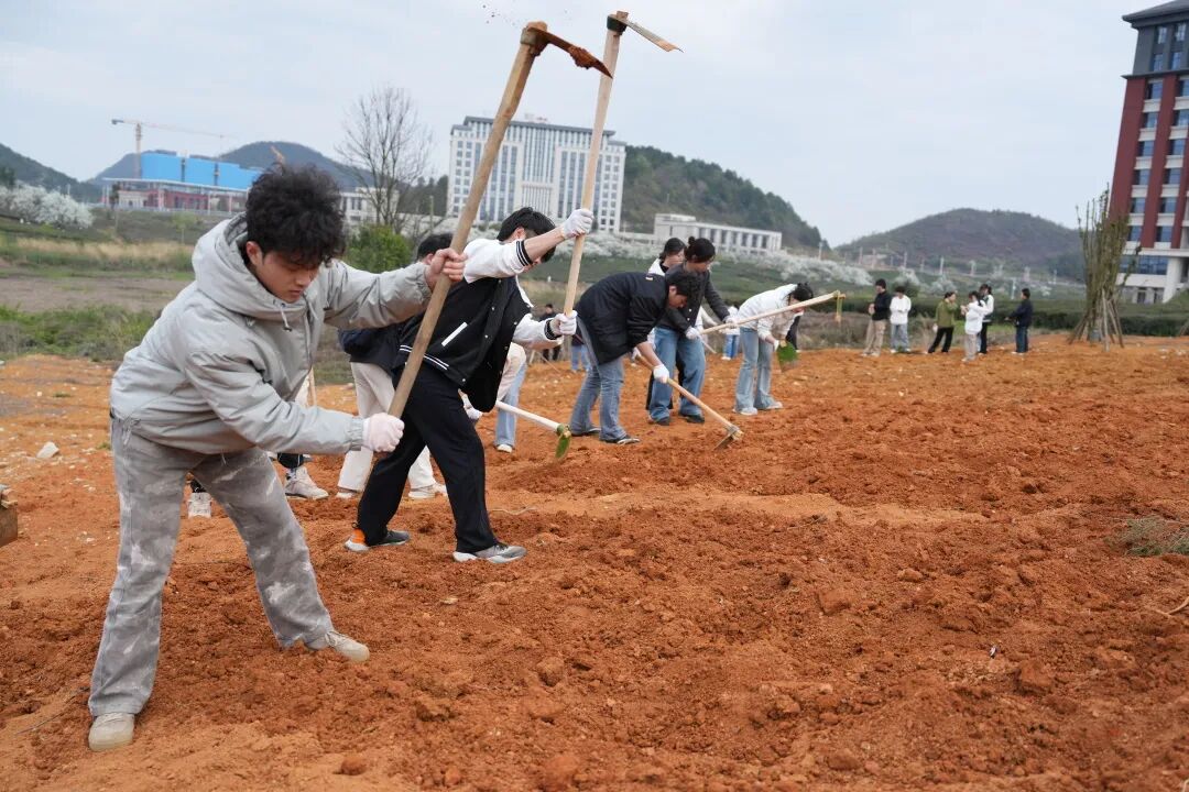 为实现校园绿化全覆盖、劳动教育全参与，学校将全校学生宿舍外围黄土裸露区域按学院划分专属责任地块，明确清石→翻土→播种→养护标准化劳动流程，做到责任到院、区域到班、任务到人，16个学院的责任区域遍布校园。