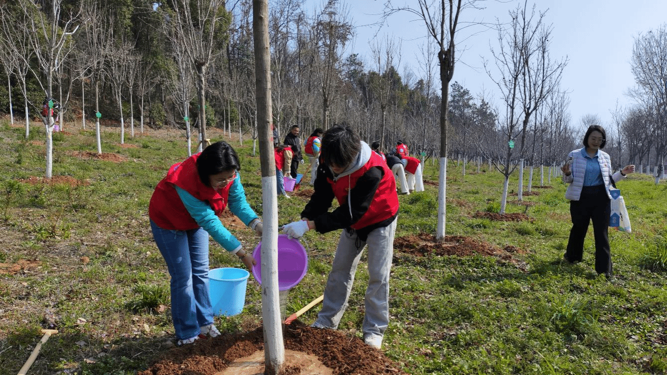 virtual_attach_file (3).png