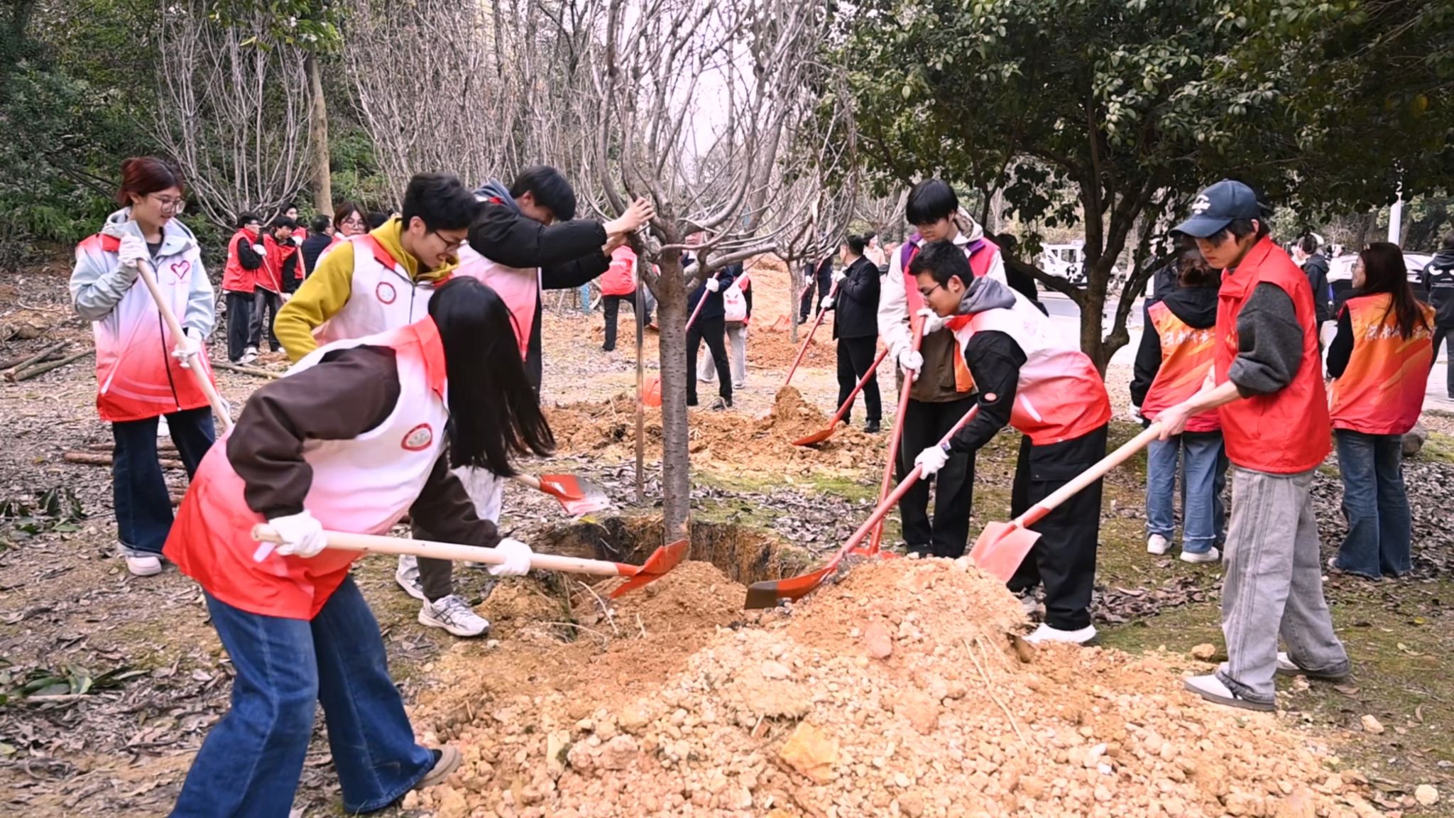 2026031702.jpg 2026031702.jpg