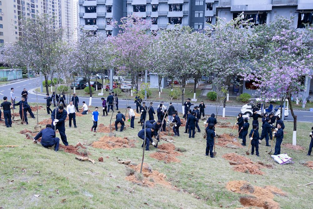 3.18植树03.png 3.18植树03.png