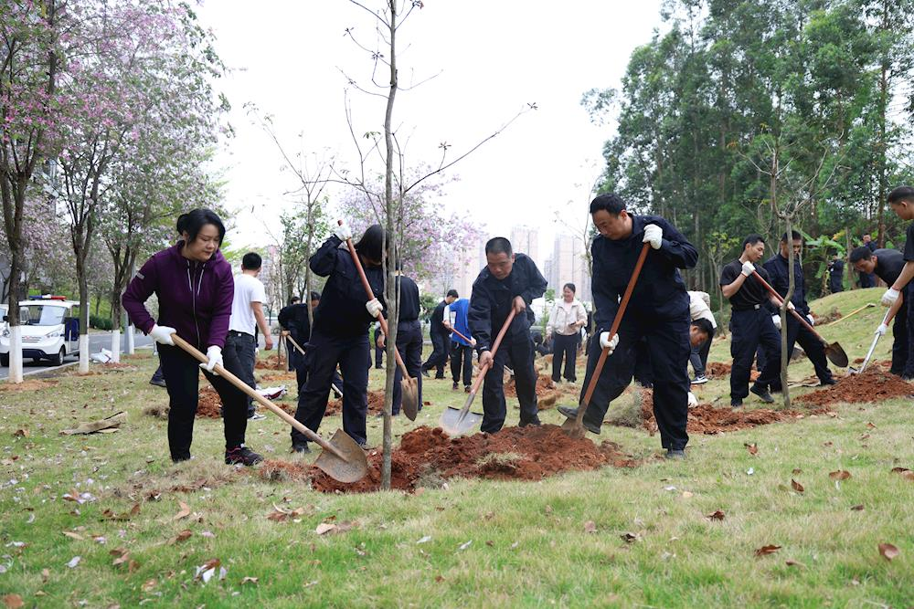 3.18植树01.png 3.18植树01.png