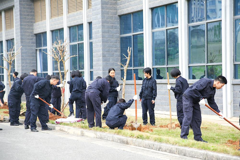 3.18植树02.png 3.18植树02.png