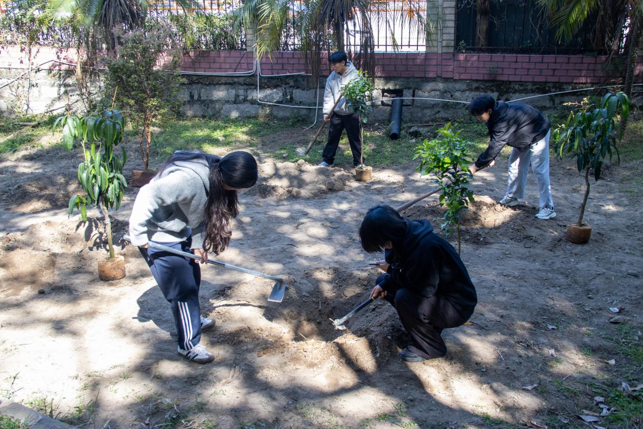 c2a6424a-a2b1-4b39-a9b6-52c84181a751.jpg c2a6424a-a2b1-4b39-a9b6-52c84181a751.jpg