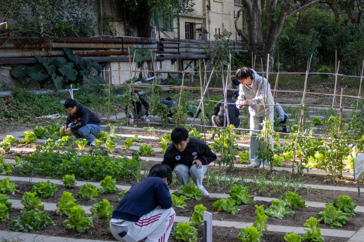 c1f59ffb-42f4-422e-923c-12cfdcab5339.jpg c1f59ffb-42f4-422e-923c-12cfdcab5339.jpg