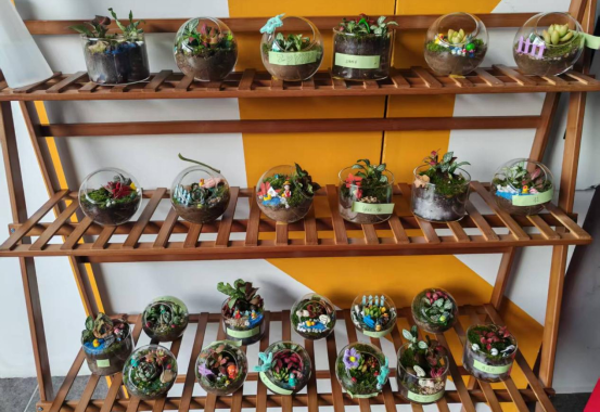 本次活动旨在丰富学生课余生活，强化学生绿色环保理念，增添创意绿色景致，为同学们营造温馨和谐、充满生机的学习生活氛围。