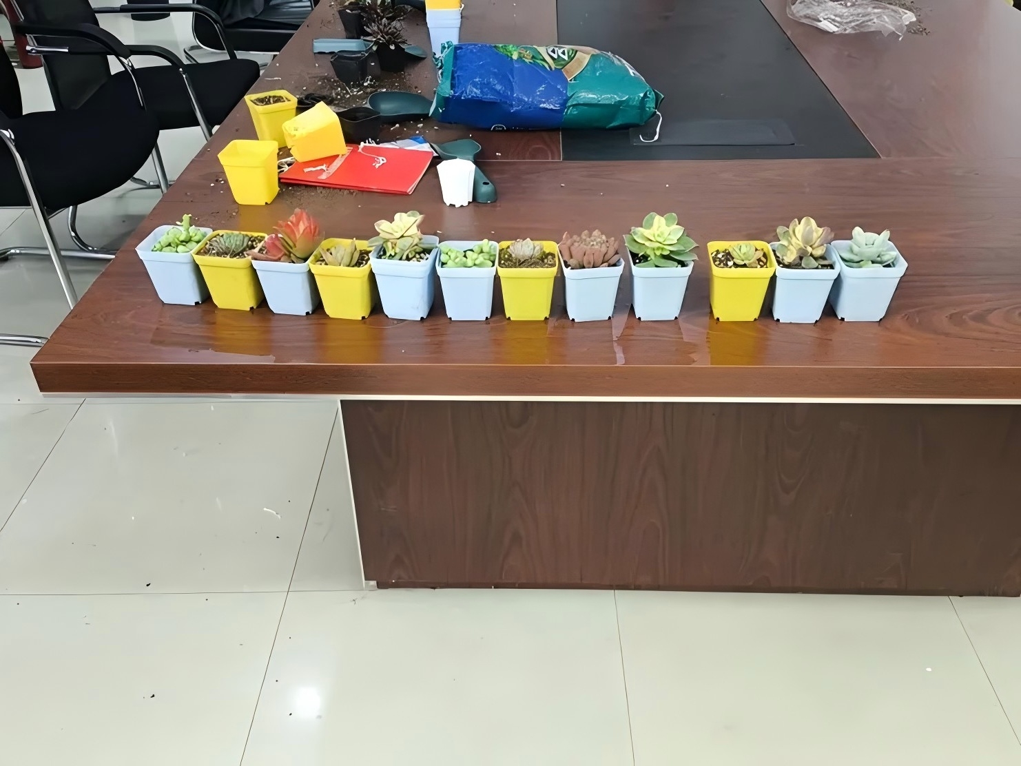 成果展示.jpg 成果展示.jpg