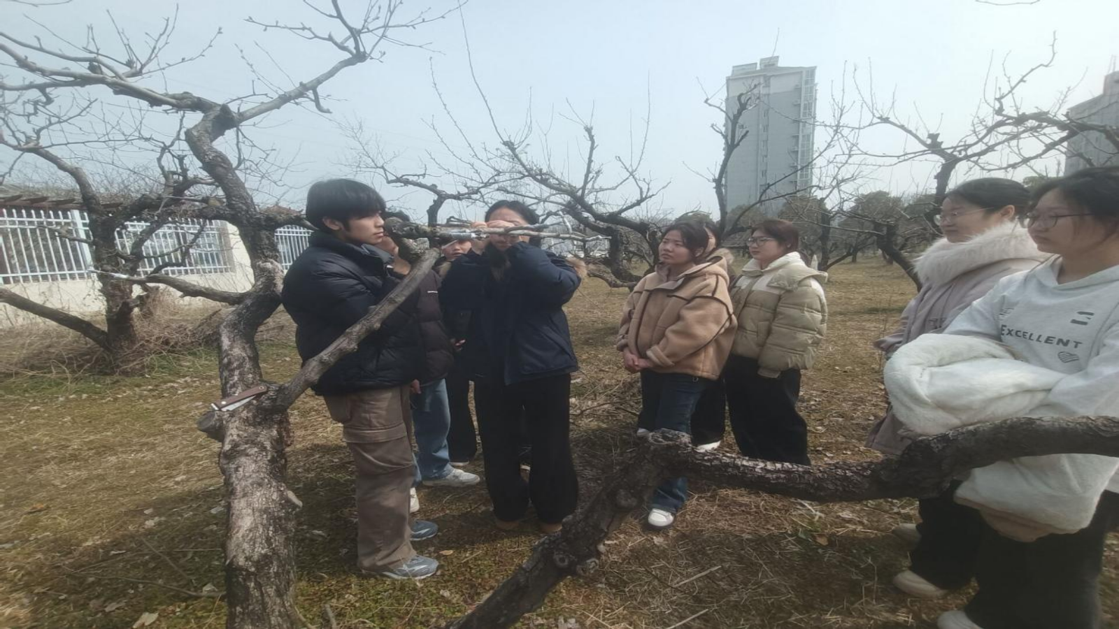 20260327160515731.png 20260327160515731.png