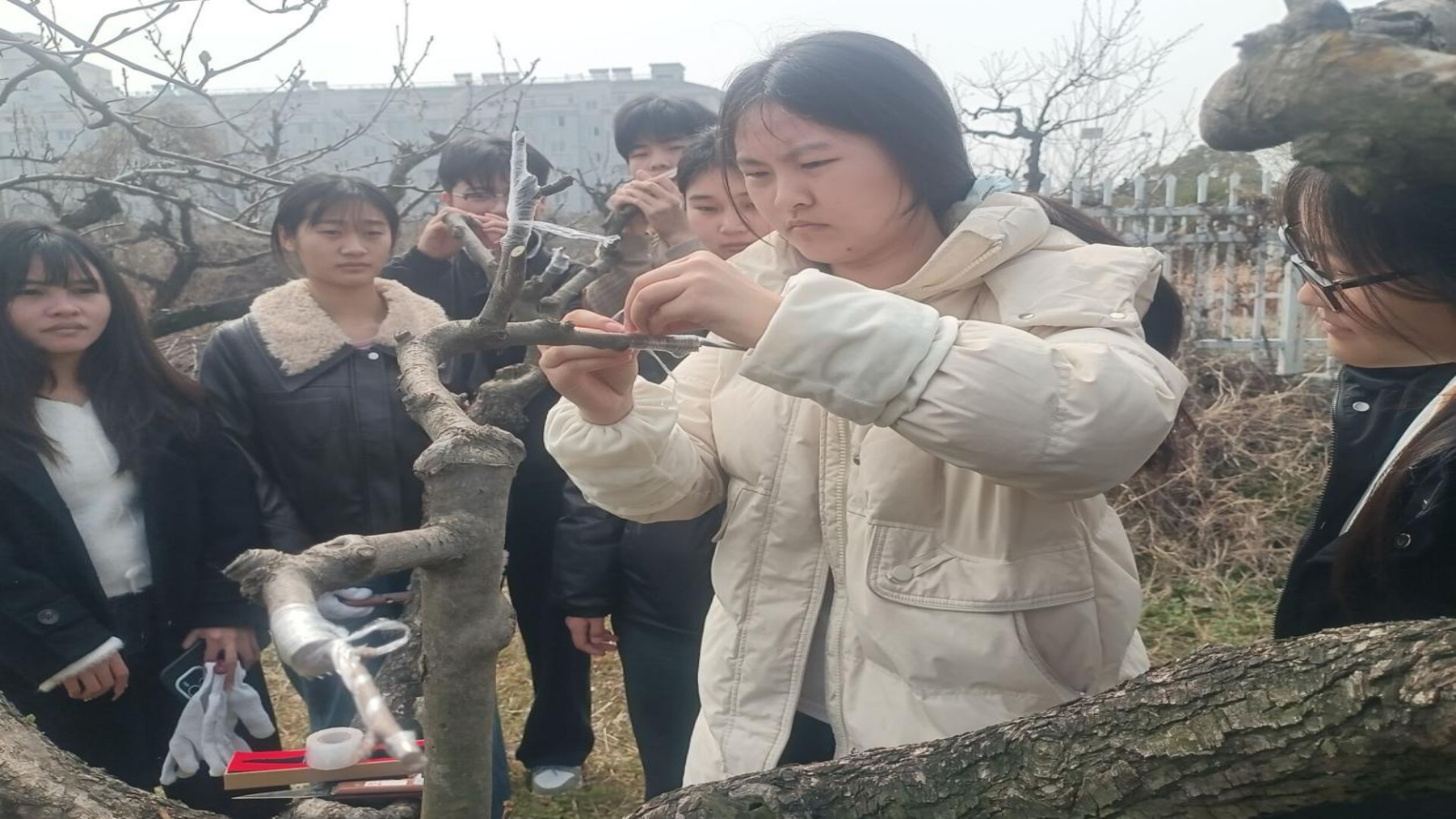 20260327160418120.png 20260327160418120.png