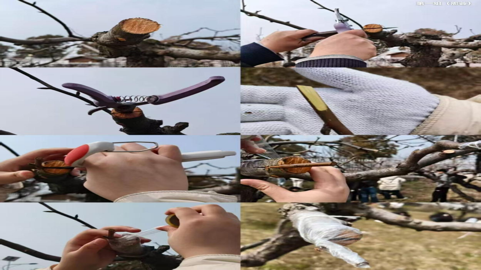 20260327160352081.png 20260327160352081.png