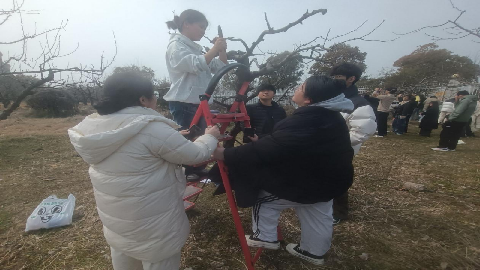 20260327160532986.png 20260327160532986.png