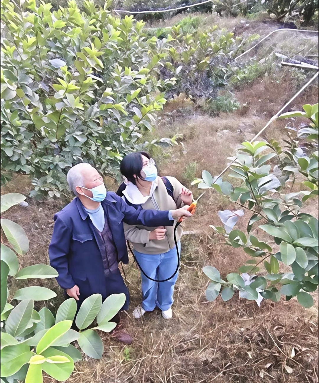 图片10.png 图片10.png