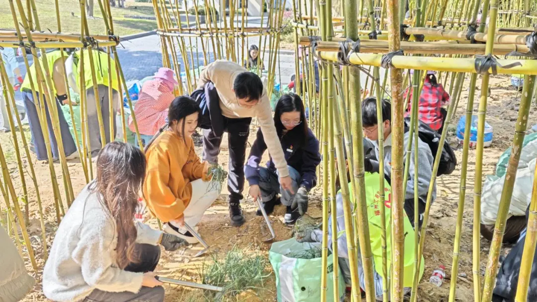 图片2.png 图片2.png