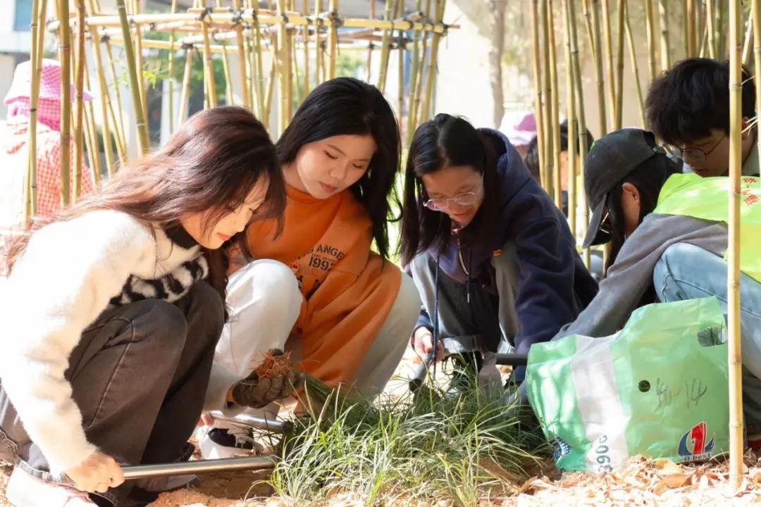 图片1.png 图片1.png