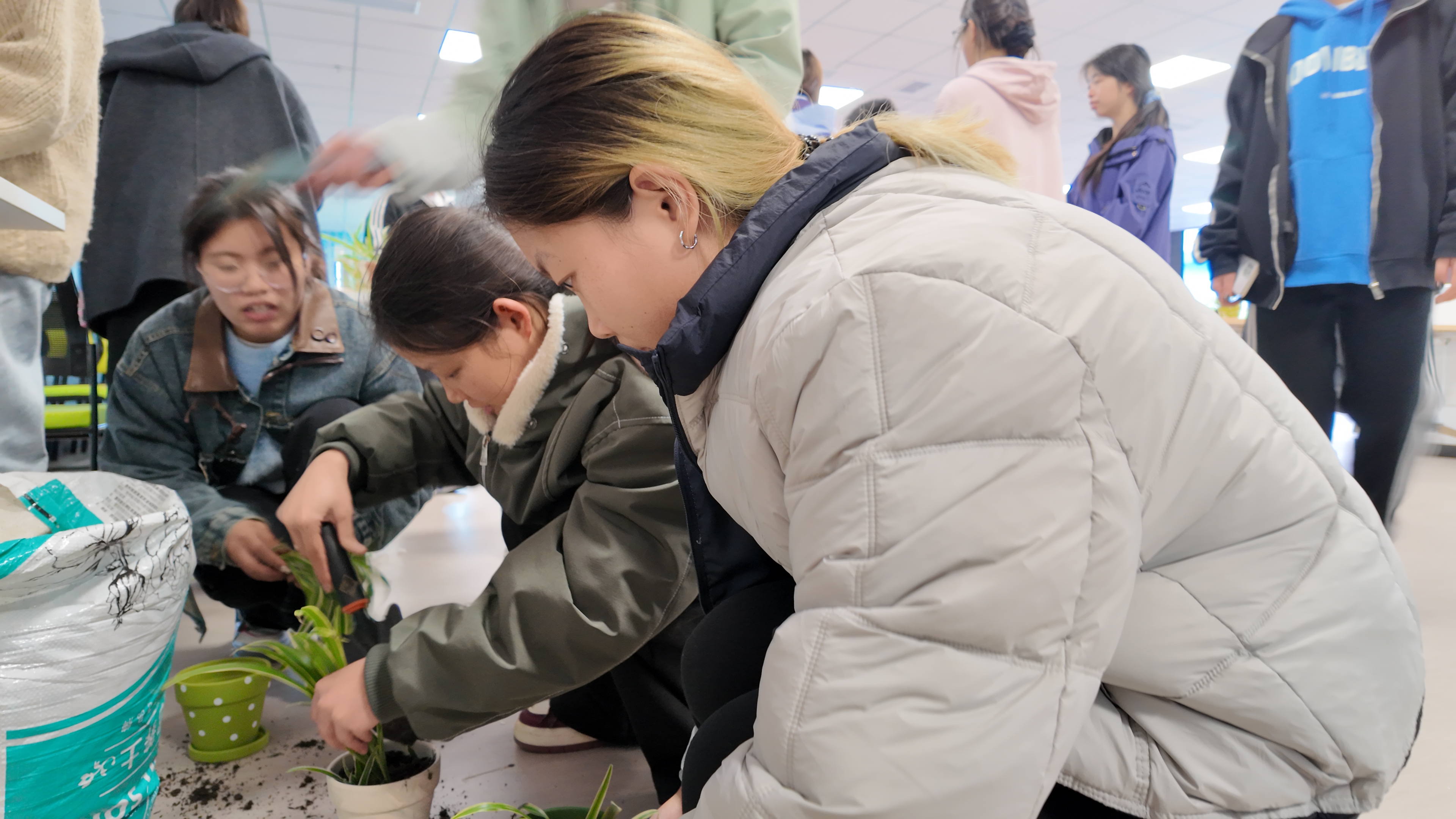 管理员亲手栽种盆栽装点功能室 (2).JPG