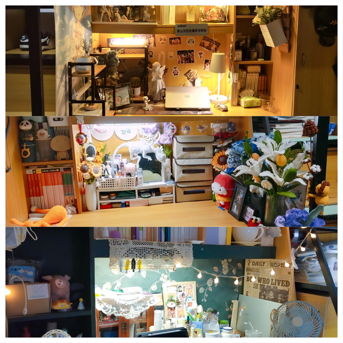 创意宿舍4.png 创意宿舍4.png